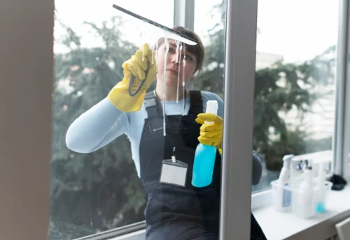Nettoyage de vitres intérieures et extérieures à Blacé